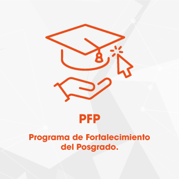 Programa de Fortalecimiento del Posgrado (PFP).