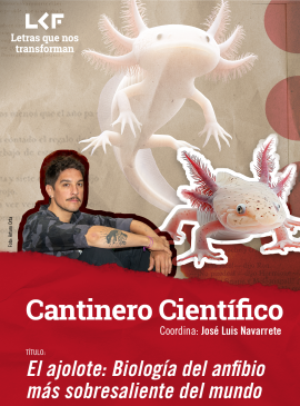 Cantinero científico