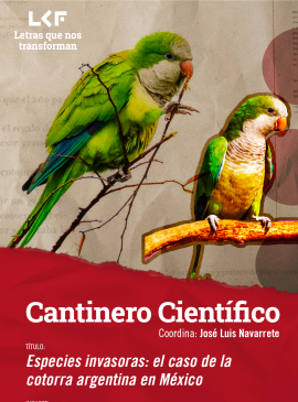 Cantinero científico