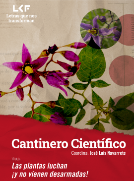 Cantinero científico