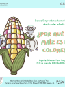¿Por qué el maíz es de colores? | Ciencia Sorprendente