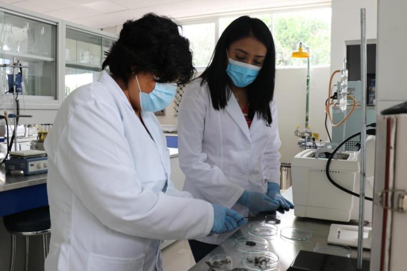 Investigadores del CUNorte trabajan a distancia con alumnos participantes del Programa Delfín