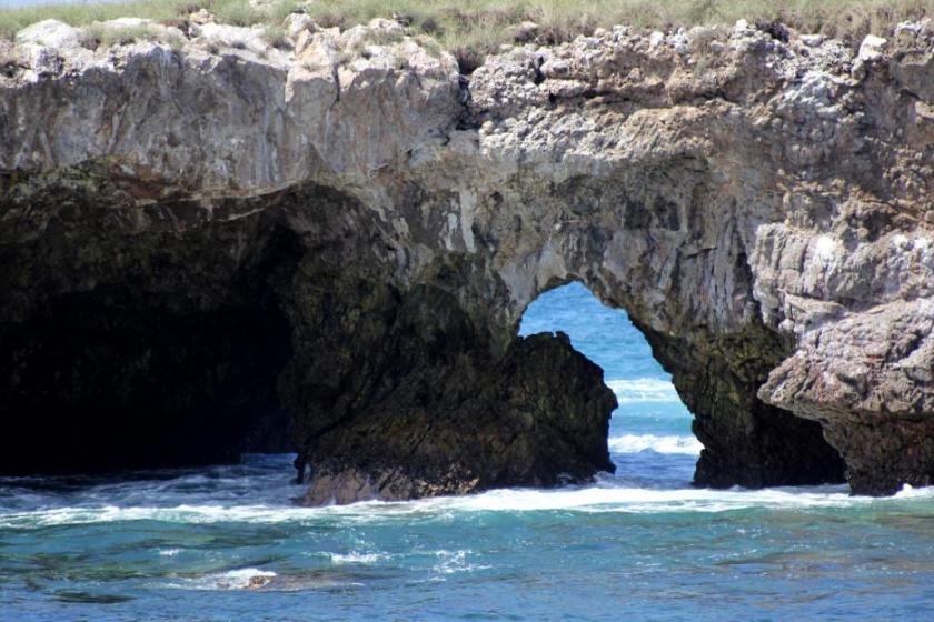 Investigadores del CUCosta duplican superficie de corales restaurados en Islas Marietas