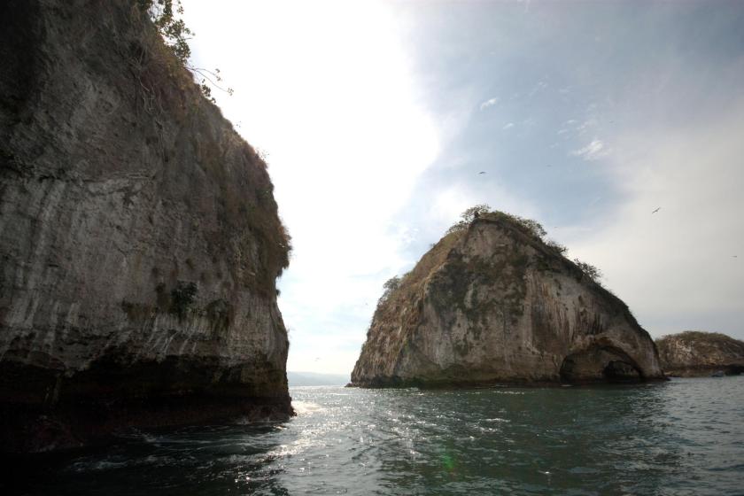 Malas prácticas de buceo impactan en ecosistemas marinos