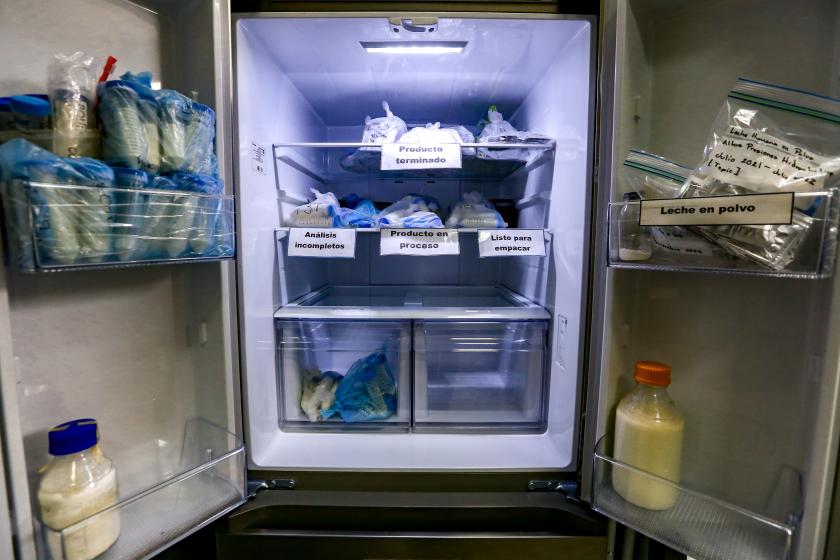 leche en polvo