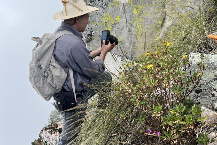 nuevas de plantas en la Sierra de Manantlán