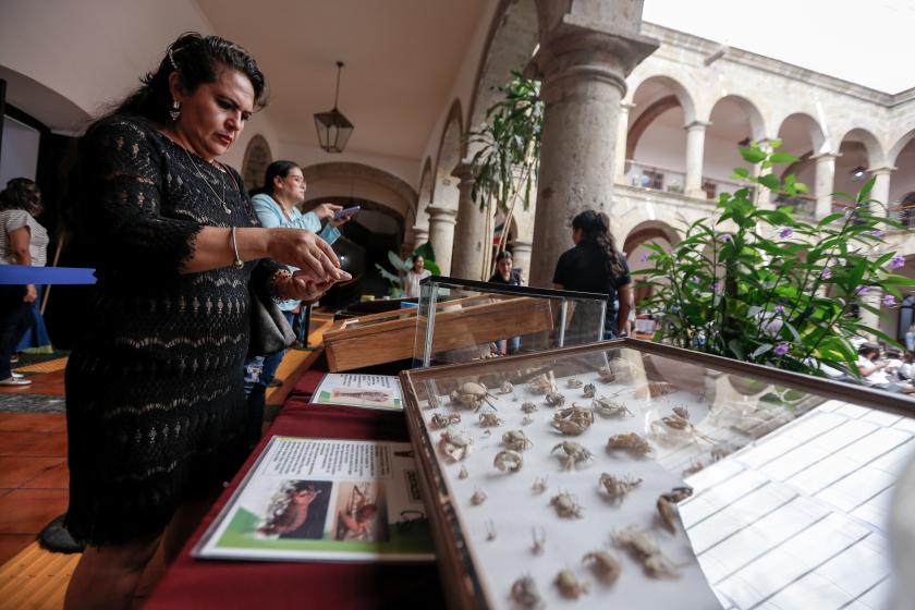 Colección Biológica Itinerante