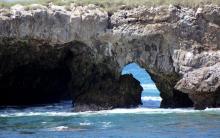 Investigadores del CUCosta duplican superficie de corales restaurados en Islas Marietas