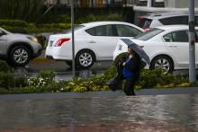 lluvia puede contaminar los alimentos